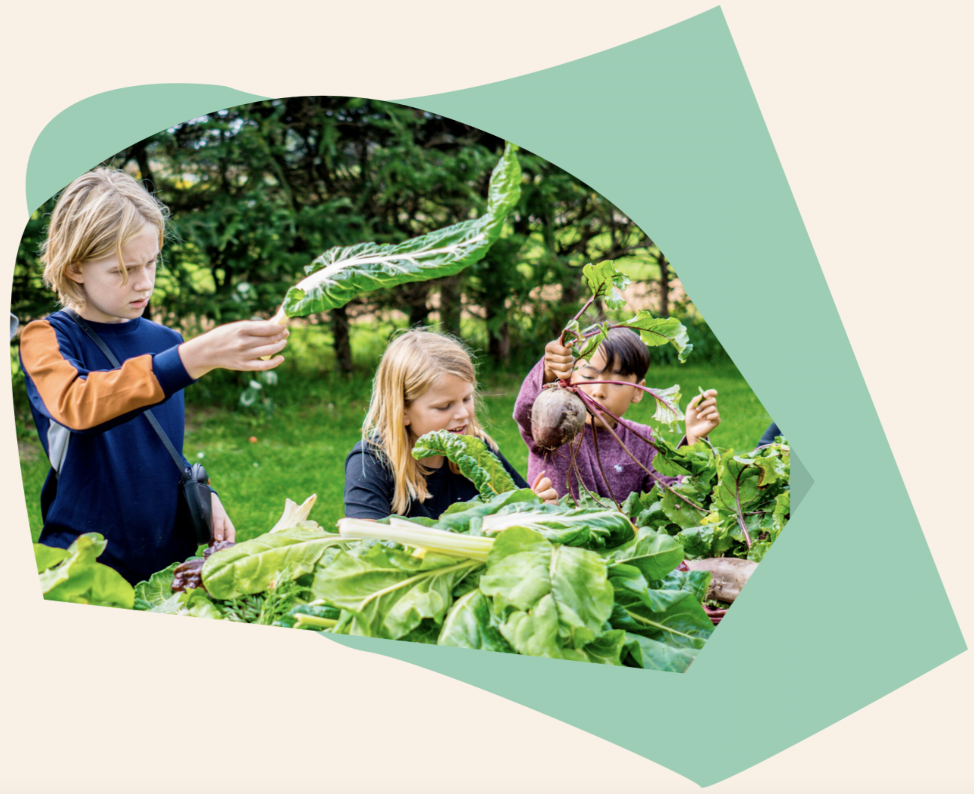 Billede_børn_grøntsager (2)